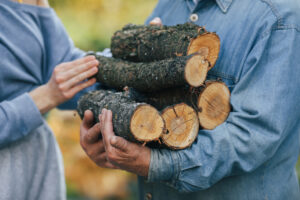 grandfather with granddaughter on a yard with firewood in hands